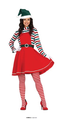 Costume elfo aiutante di - costume,